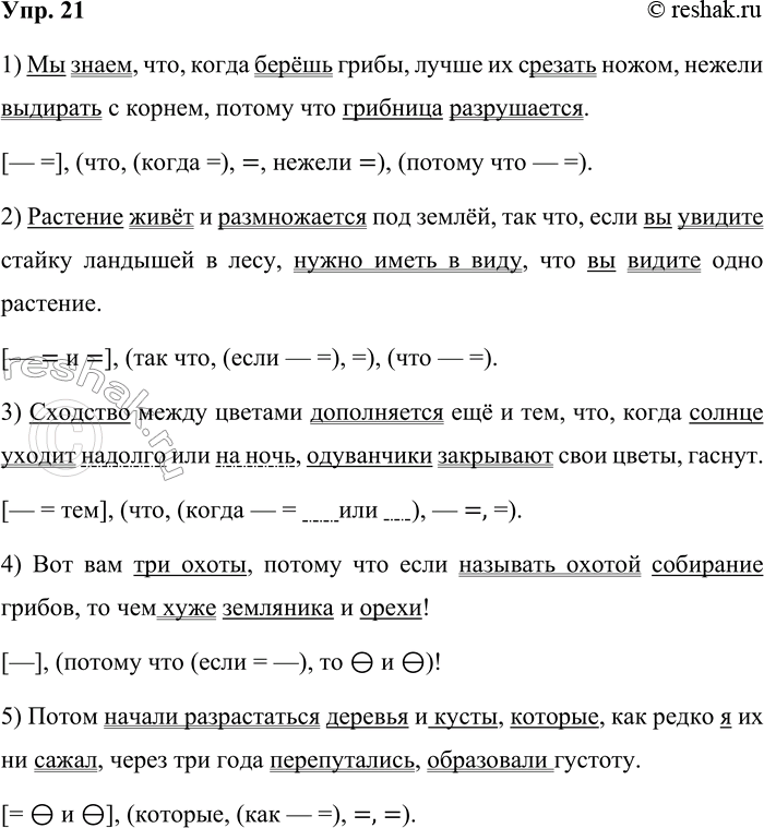 ����������� 21 ������� ����������� �� ������������ ��������� ����������� ���������, ���������� ����������� ����� ����������. ��������� ���������� ������ ���������� ��� ������...