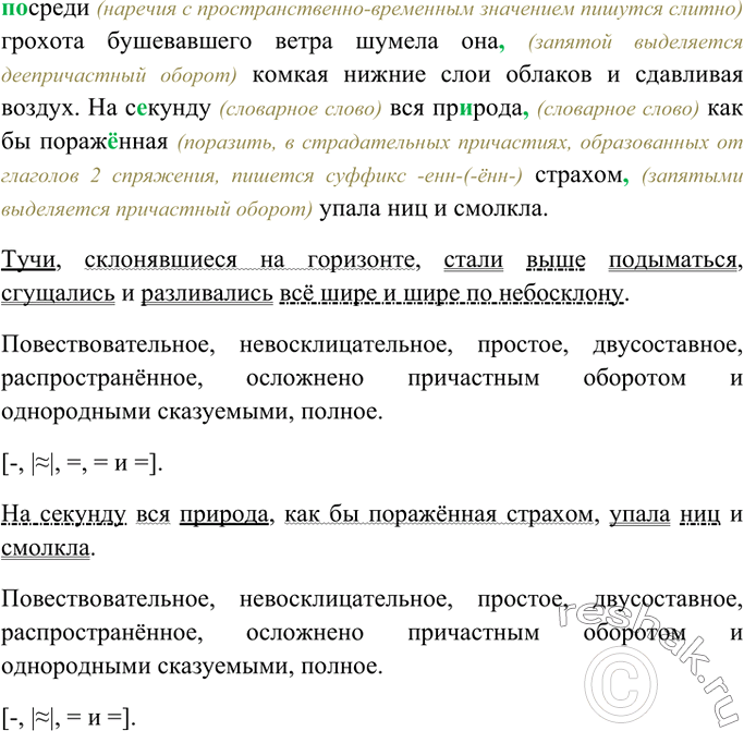 Тучи склонявшиеся на горизонте стали. Русский язык 9 класс упр 272.