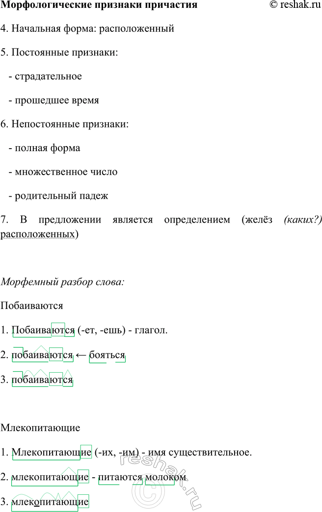 �������������� �����������