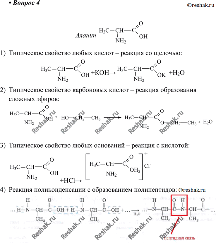 Изображение 4 Какими свойствами обладают аминокислоты? Напишите уравнения реакций, характеризующих химические свойства...