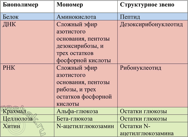 Изображение 2	Какие биополимеры вы знаете? Охарактеризуйте их с использованием понятий, перечисленных в первом...