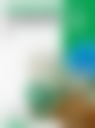 ����������� �������� �� ����� ��������� 11 ����� (����������� �������)