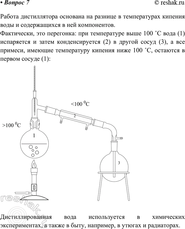 ����������� 7 � ��� ����������� ������� ������ ������������? ��� ������������ ���������������� ����?������ ������������ �������� �� ������� � ������������ ������� ���� �...