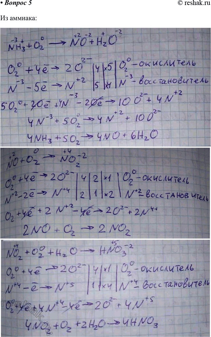 ����������� 5 ���������� ��� ������� �����������, ���������� � ��������� ������� �������, ������ �� ����� � �������. ������� ������������-����������������� �������, ��������� �����...