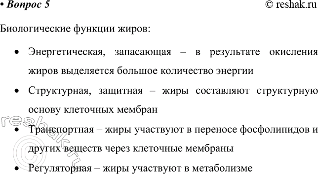 ����������� 5 �������� ������������� ������� �����.������������� ������� �����:�	��������������, ���������� � � ���������� ��������� ����� ���������� ������� ����������...