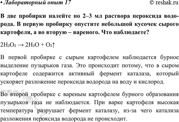 Изображение Лабораторный опыт 17 ГДЗ Габриелян Остроумов 9 класс (Углубленный)