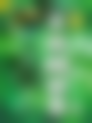 ����������� �������� �� ����� �������� 9 �����