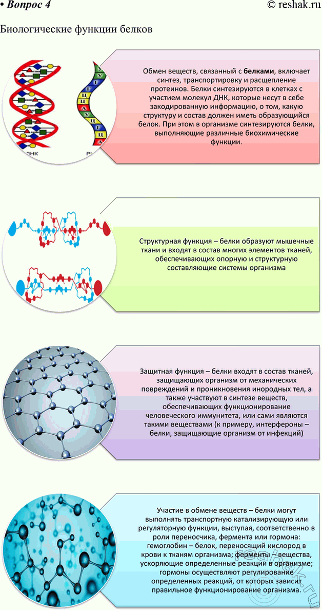 ����������� 4. ��������� ����������� �� ����� �� ���: ���������: ���� � ������, ����� � ����� �����, ������ � ��������� ���������, �������������� ������� ������.�������������...