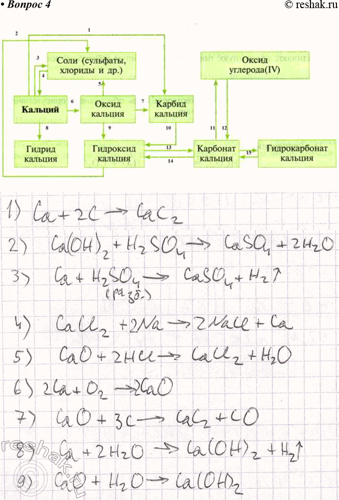 ����������� ������ 4 �������� 50 ��� �������� 9 ����� (2024)